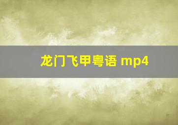 龙门飞甲粤语 mp4